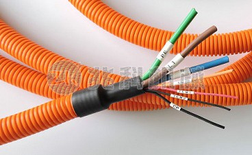 1773381826932524.jpg 1650084624685120.jpg